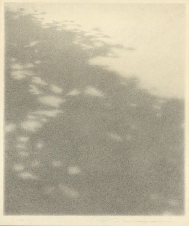 Visual cue for scent 009